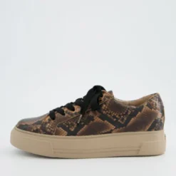 Paul Green 5469058- Trainer Boa.