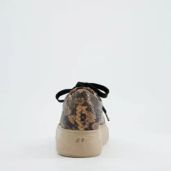 Paul Green 5469058- Trainer Boa.