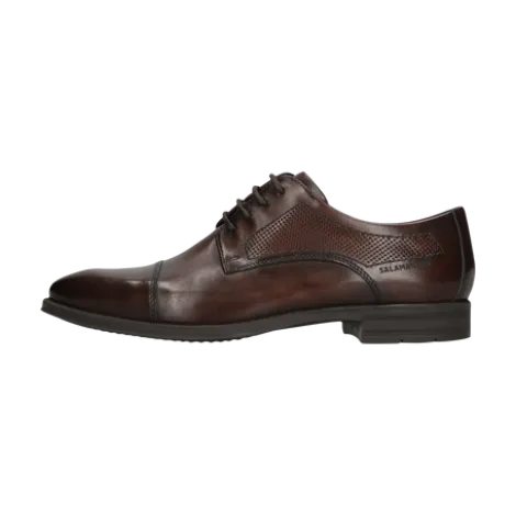 Salamander Brown Lace-Up Business Shoe |E11AUU026
