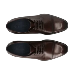 Salamander Brown Lace-Up Business Shoe |E11AUU026