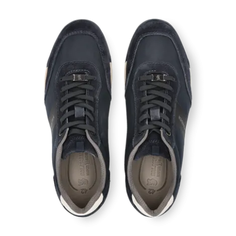 Salamander Navy Leather Trainer|E31AWA0341