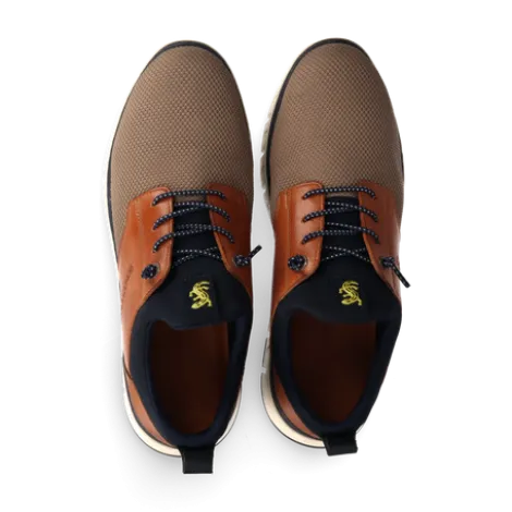 Salamander Taupe and Tan Trainer|E31ASB6052