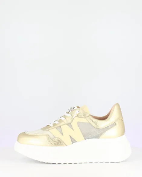 Wonders Gold Wedge Trainer|A3640P