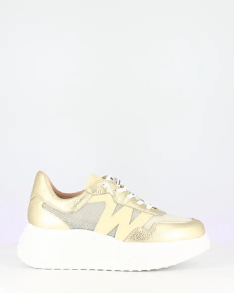 Wonders Gold Wedge Trainer|A3640P